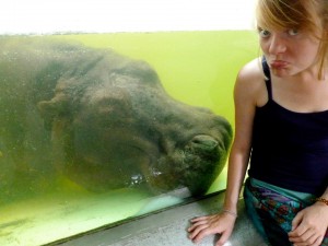 thai 2