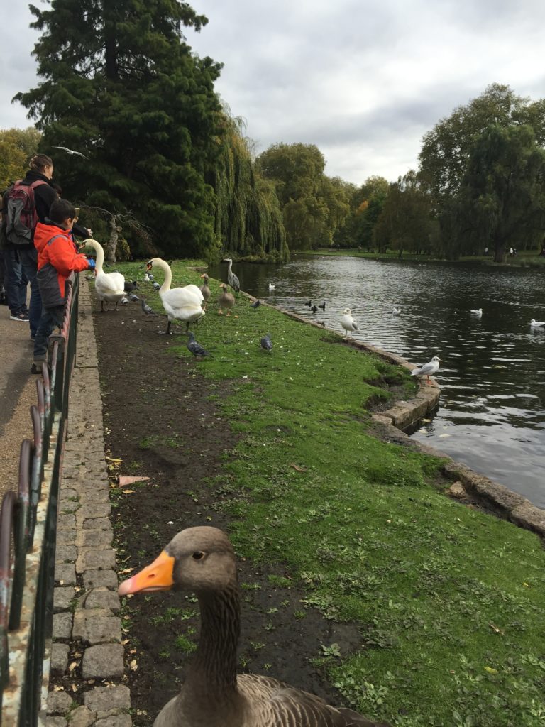 things to do in London St James Park