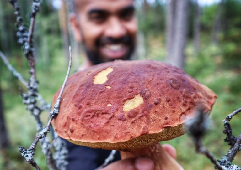 Video: The day we went foraging for mushrooms in Latvia